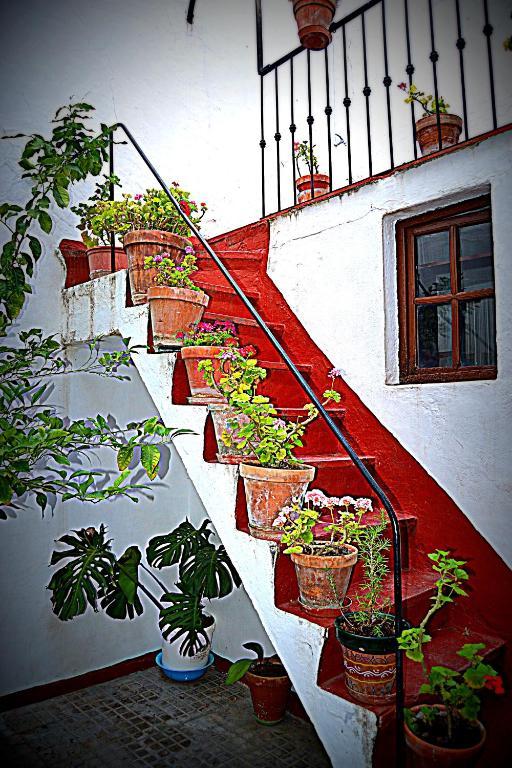Pension Ronda Sol Exterior photo